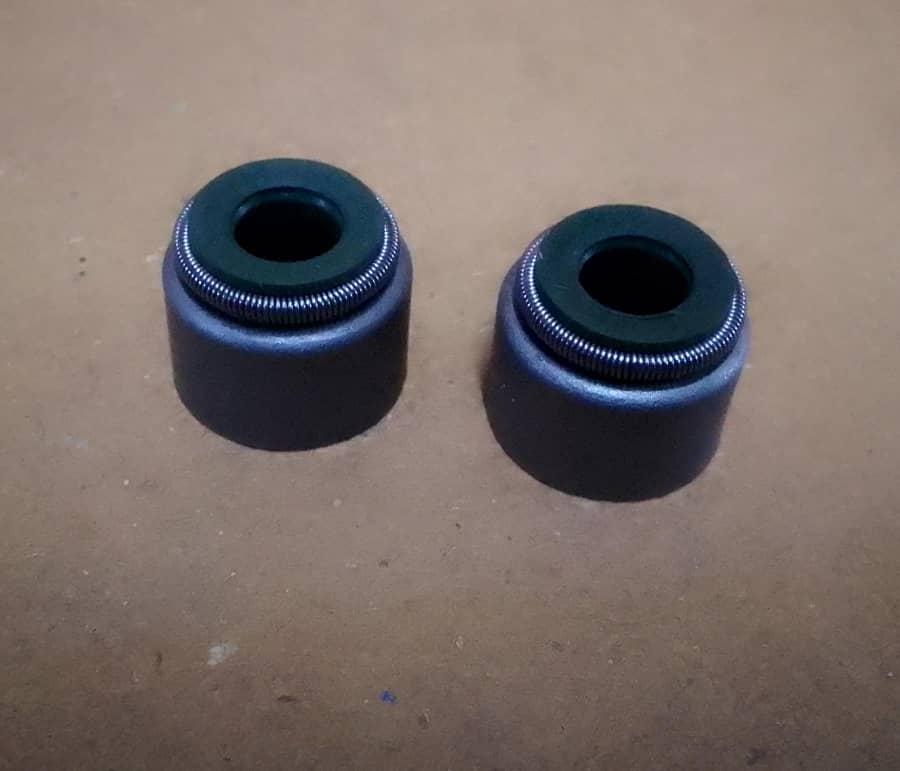Varroc=Valve Seal(1 pair)=BM100KS